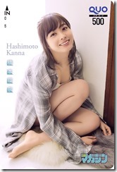 hashimoto-kannna-300307 (2)