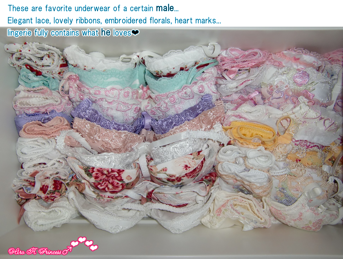 The favorite underwear of a certain male is lovely lingerie 2E