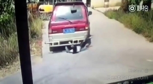 woman-distract-cell-phone-run-over-reverse-van-forklift-rescue-cctv.jpg